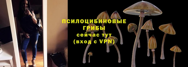марки lsd Алексеевка