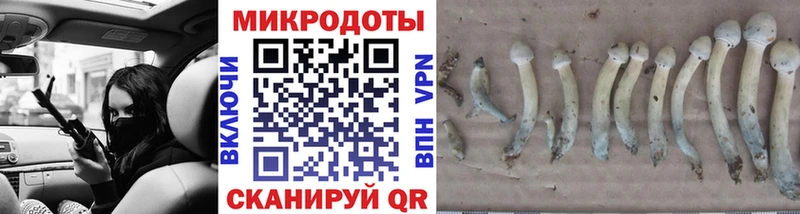 Галлюциногенные грибы мицелий как найти закладки ОМГ ОМГ онион Казань