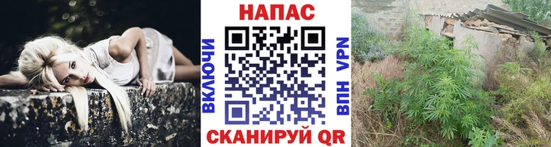 Каннабис White Widow где можно купить наркотик Казань